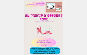 Tournoi de pétanque au profit d'octobre Rose